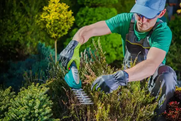 landscaping services Auburn